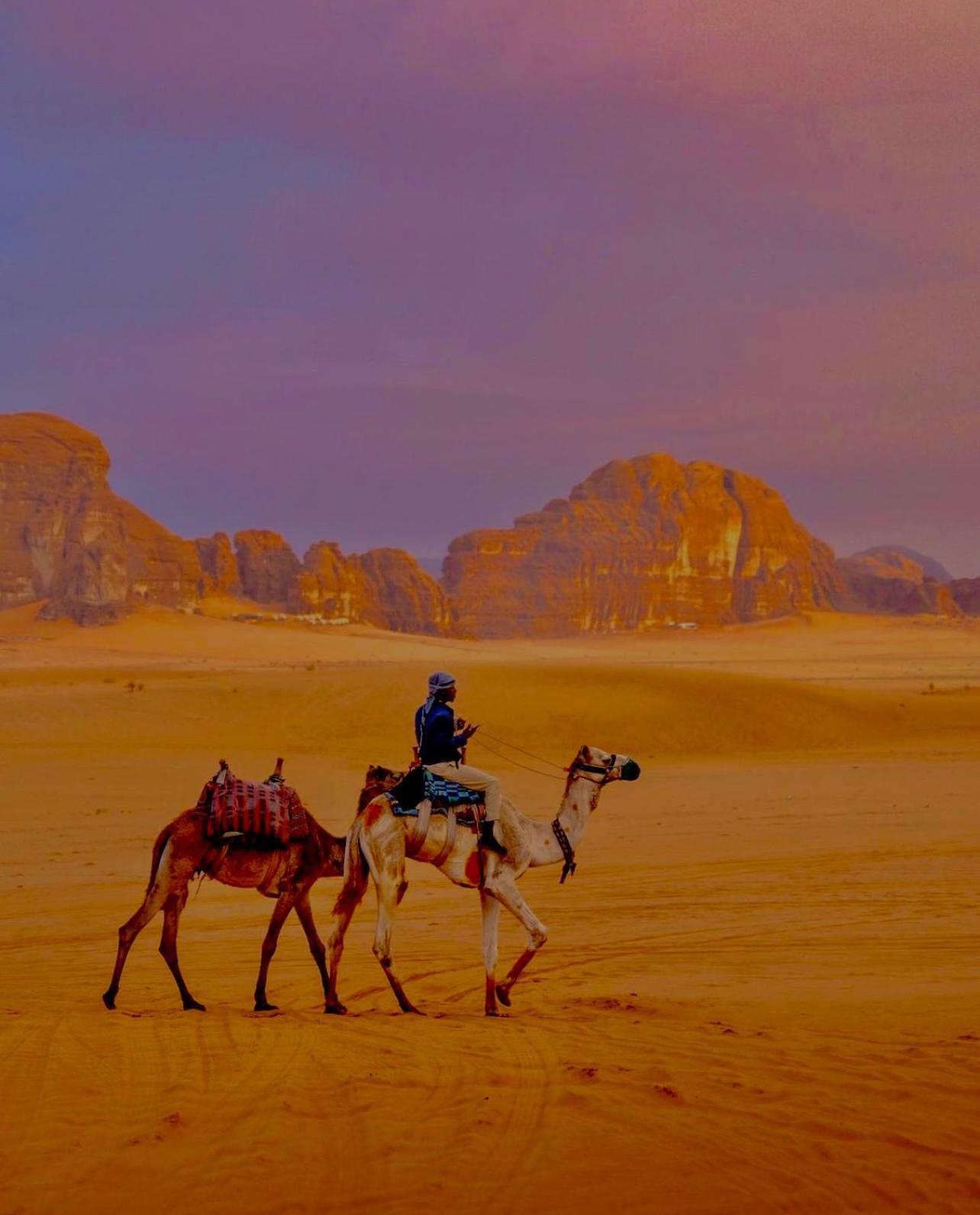 Hidden Wadi Rum Camp Екстер'єр фото