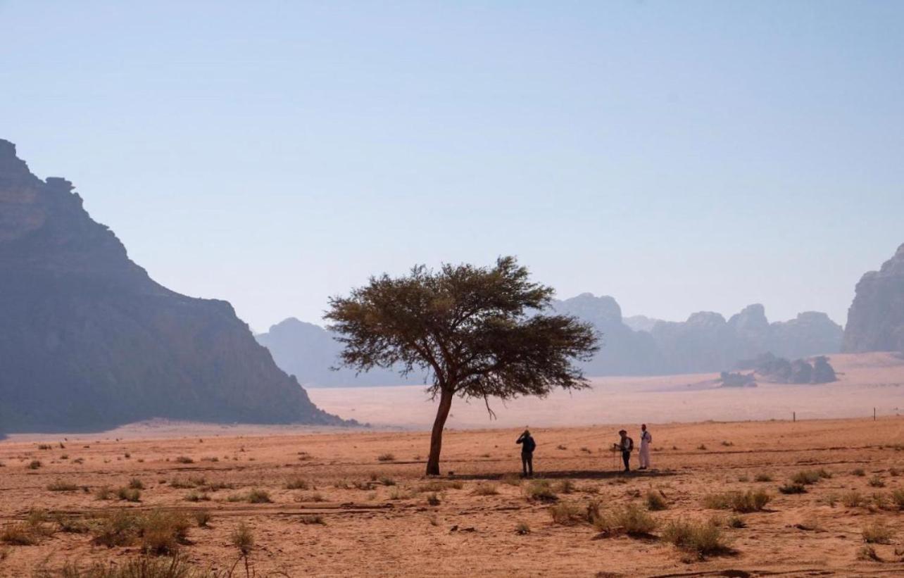 Hidden Wadi Rum Camp Екстер'єр фото