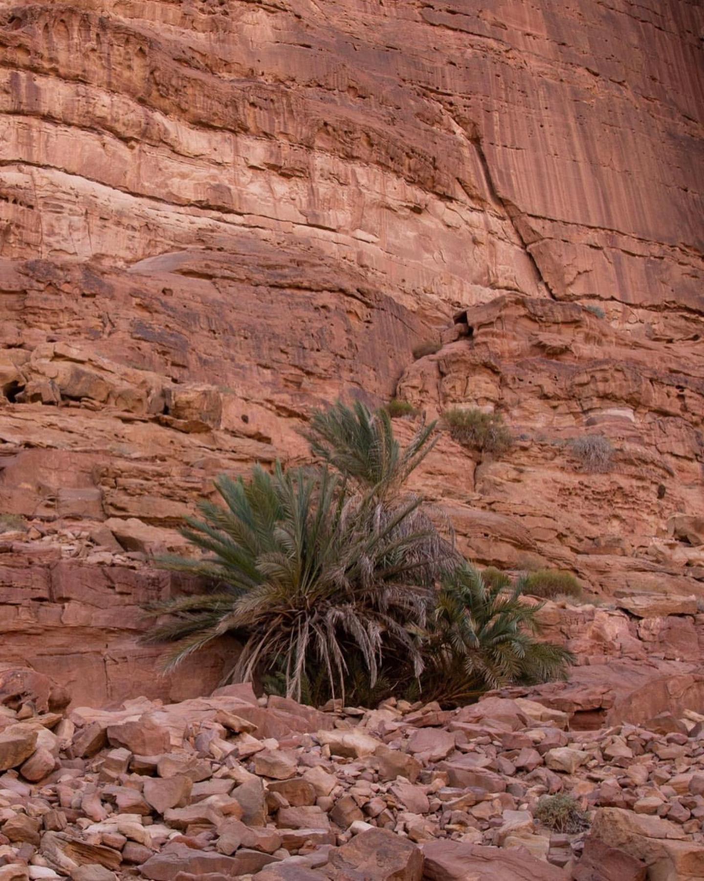 Hidden Wadi Rum Camp Екстер'єр фото